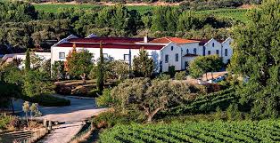 Rota do Vinho em Portugal: Douro e Alentejo